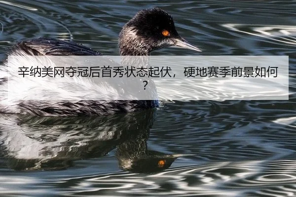 xin-na-mei-wang-duo-guan-hou-shou-xiu-zhuang-tai-qi-fu-ying-di-sai-ji-qian-jing-ru-he-3-310.jpg
