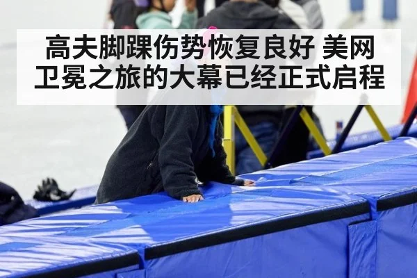 高夫脚踝伤势恢复良好 美网卫冕之旅的大幕已经正式启程